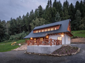 Villa with private pool, Prostřední Bečva